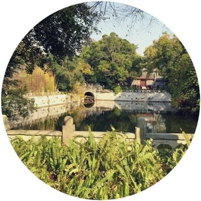 无尽混战游戏下载